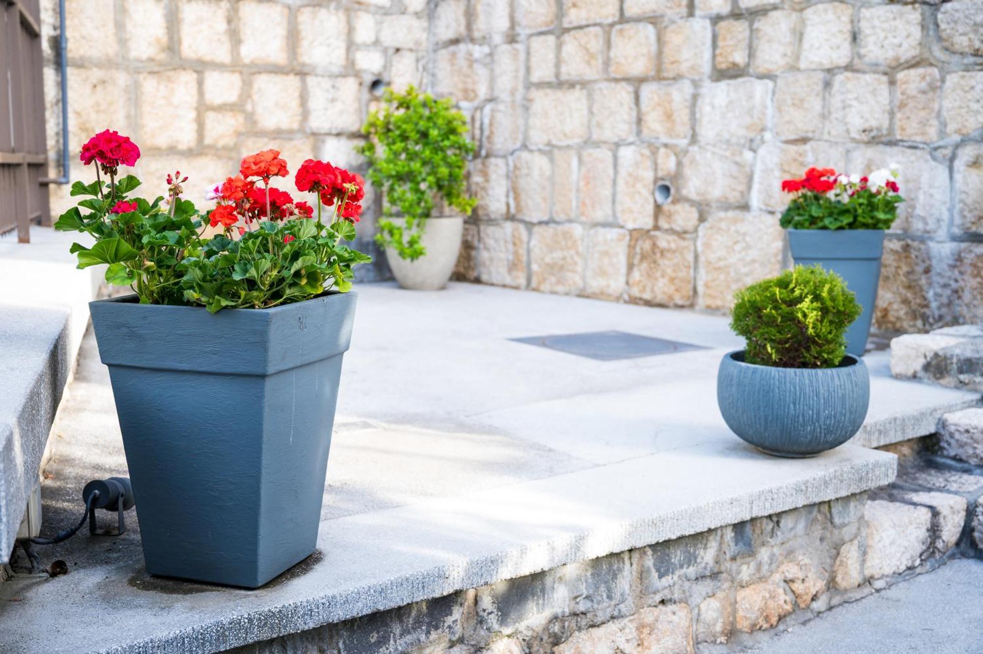Prato Guest house